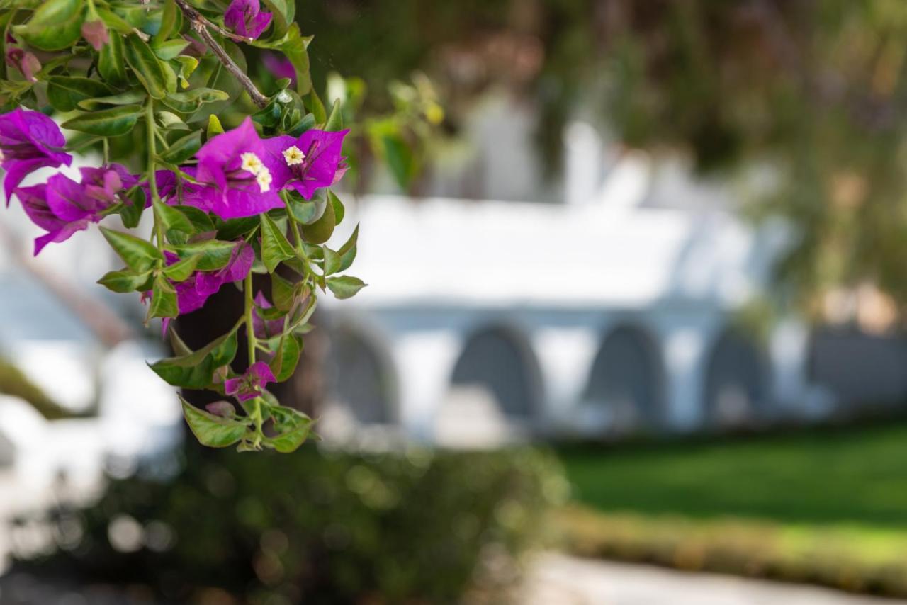 Casa Montzo Boutique Hotel Кателиос Экстерьер фото